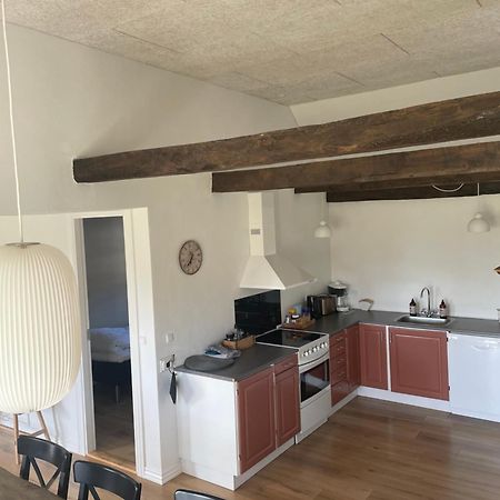 Baekgaarden 3 Rooms Apartment - Old Farm House 오덴세 외부 사진