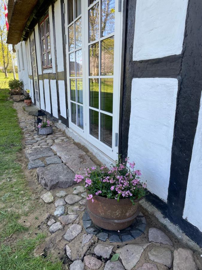 Baekgaarden 3 Rooms Apartment - Old Farm House 오덴세 외부 사진