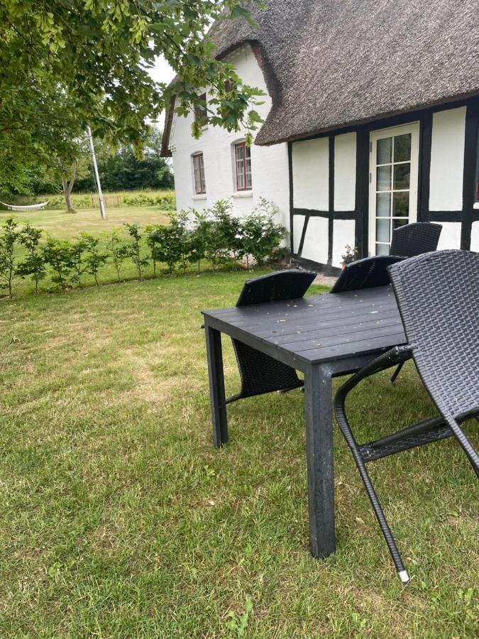 Baekgaarden 3 Rooms Apartment - Old Farm House 오덴세 외부 사진