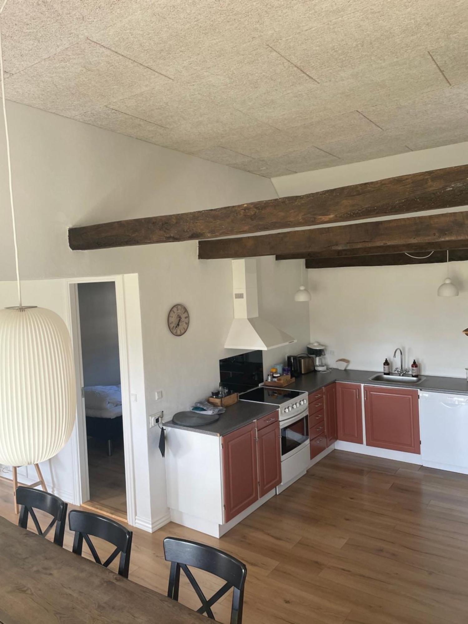 Baekgaarden 3 Rooms Apartment - Old Farm House 오덴세 외부 사진
